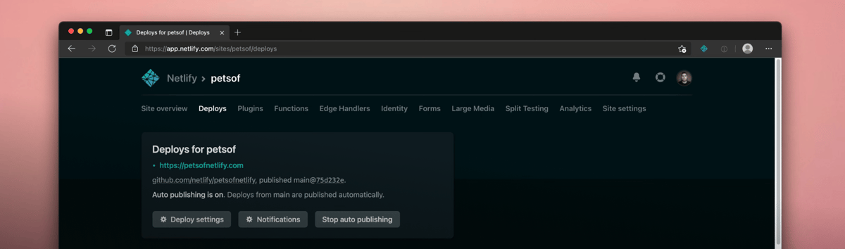 Netlify features copy